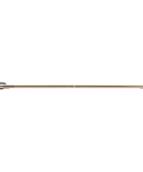 AINOTE 2