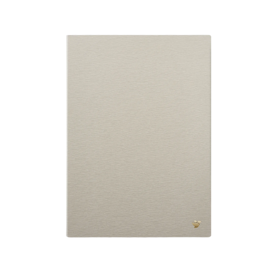 AINOTE 2 Case (Mist)