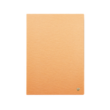 AINOTE 2 Case (Orange)