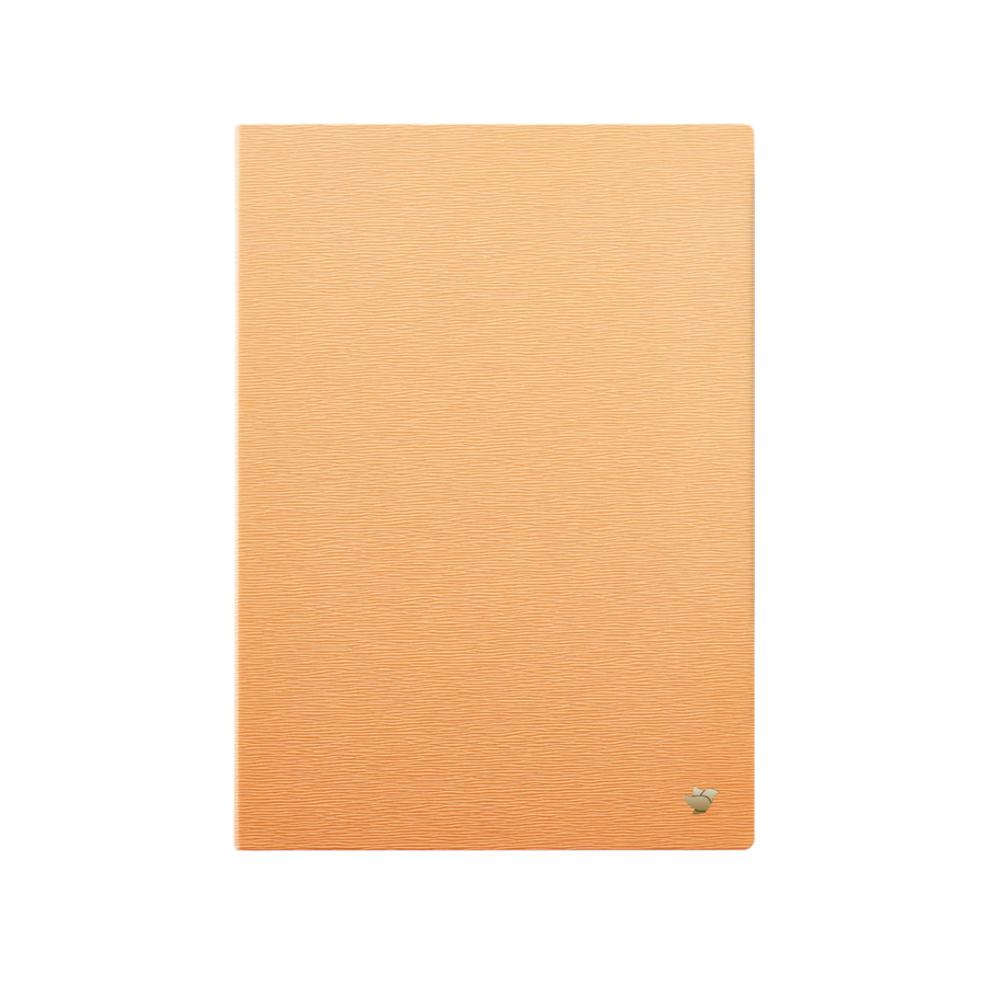 AINOTE 2 Case (Orange)