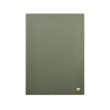AINOTE 2 Case (Light Green)