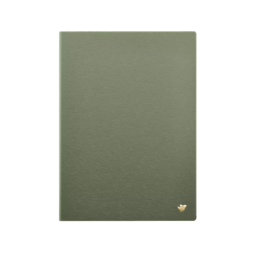 AINOTE 2 Case (Light Green)
